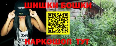 МДПВ Лесосибирск